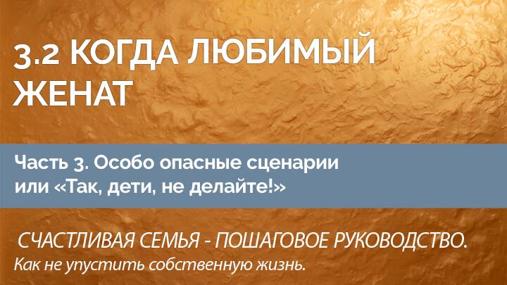 Счастливая семья — пошаговое руководство. Как не упустить собственную жизнь. Часть 3.2